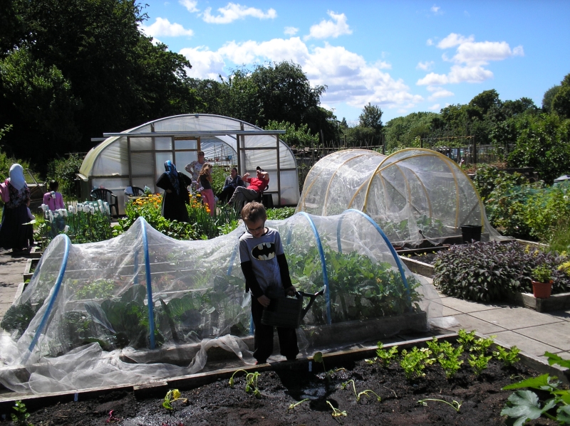 Sefton Park Allotments